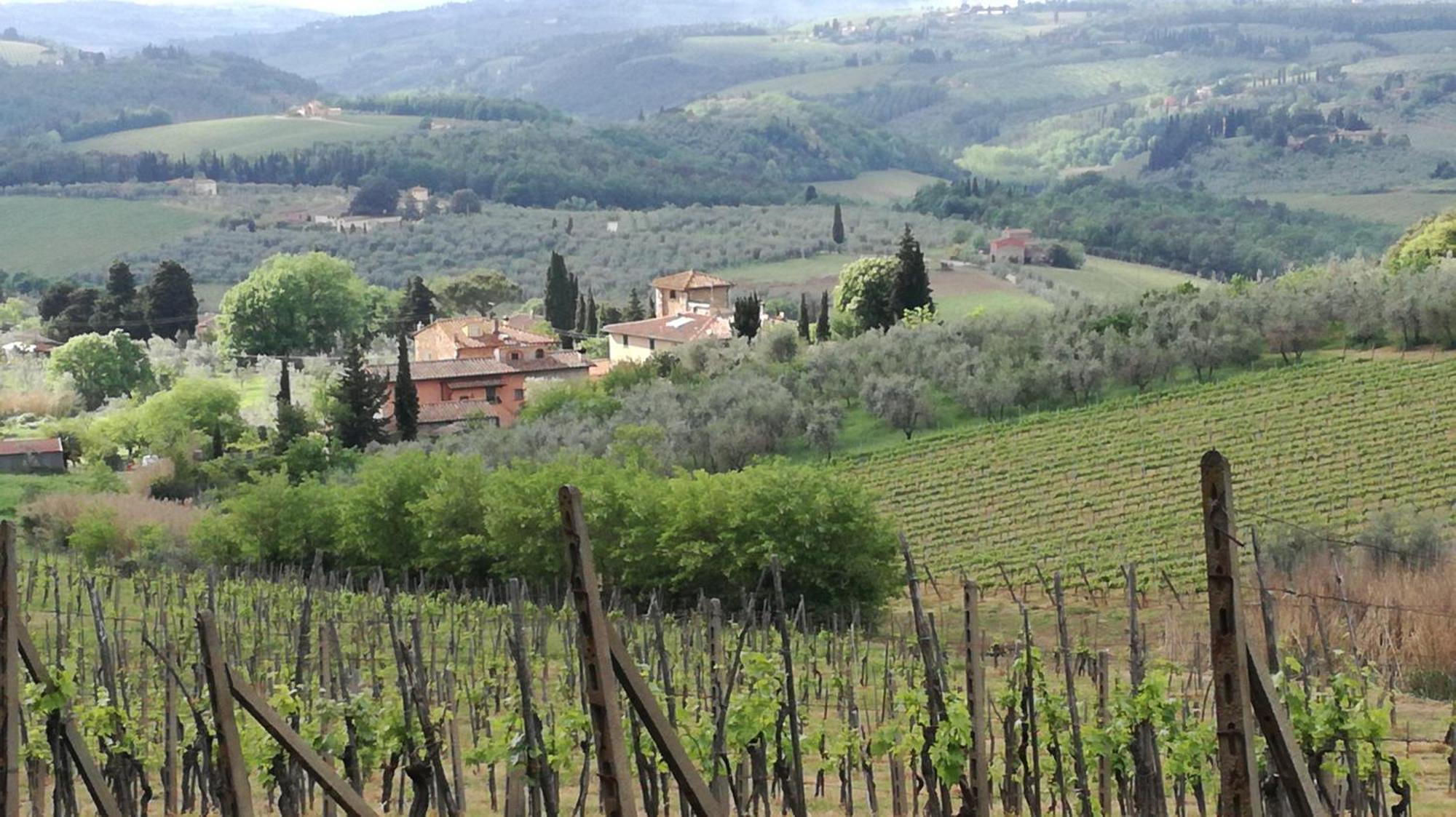 Agriturismo Podere La Cava Mercatale Val Di Pesa エクステリア 写真